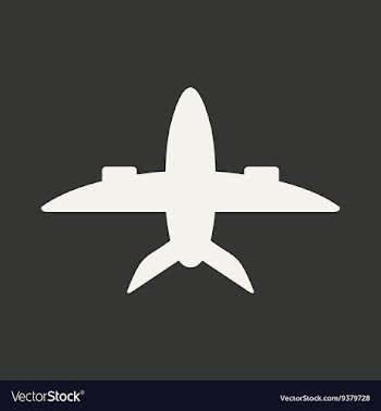 Flat in black and white mobile application plane vector image