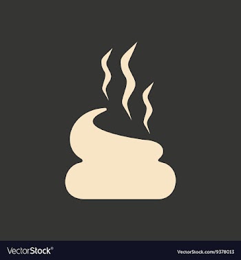 Flat in black and white mobile application poop vector image