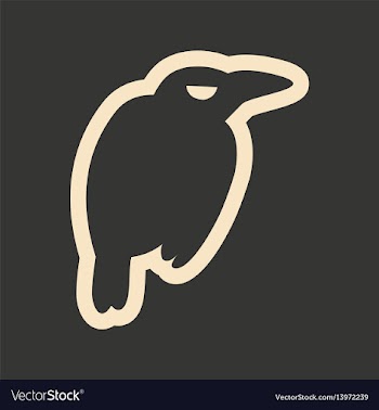 Flat in black and white mobile application raven vector image