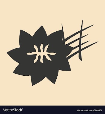 Flat in black and white mobile application saffron vector image
