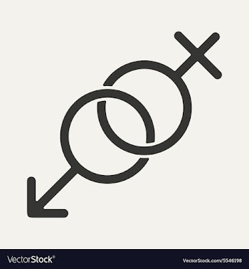 Flat in black and white mobile application sex vector image