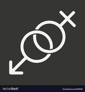 Flat in black and white mobile application sex vector image