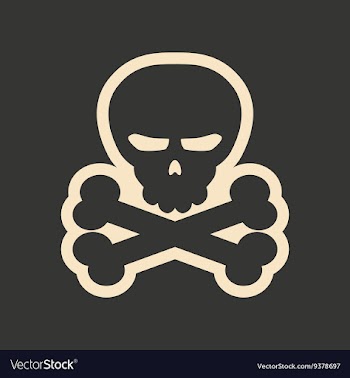 Flat in black and white mobile application skull vector image