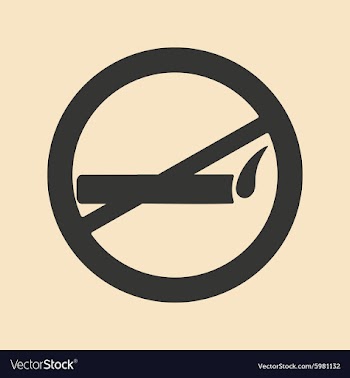 Flat in black and white mobile application smoking vector image