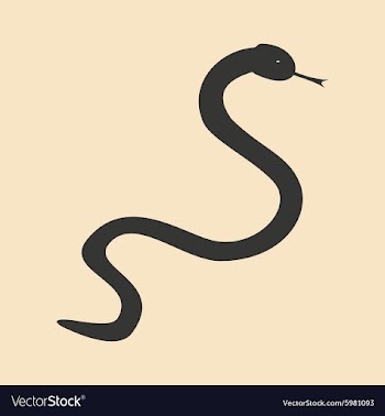 Flat in black and white mobile application snake vector image