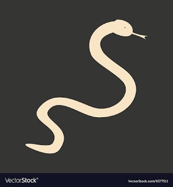 Flat in black and white mobile application snake vector image