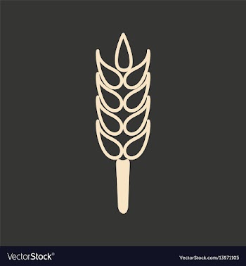 Flat in black and white mobile application spica vector image