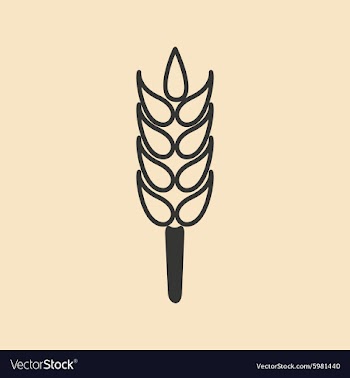 Flat in black and white mobile application spica vector image