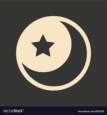 Flat in black and white mobile application star vector image