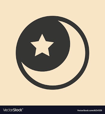 Flat in black and white mobile application star vector image