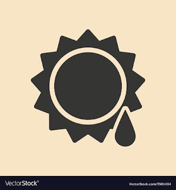 Flat in black and white mobile application sun vector image