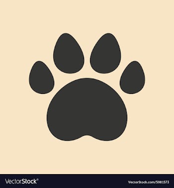 Flat in black and white mobile application traces vector image