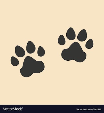 Flat in black and white mobile application traces vector image