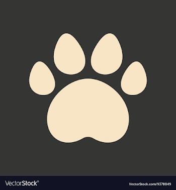 Flat in black and white mobile application traces vector image