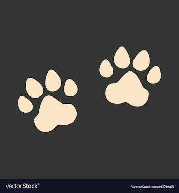 Flat in black and white mobile application traces vector image