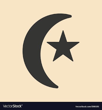 Flat in black and white mobile application Turkish vector image