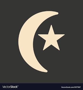 Flat in black and white mobile application Turkish vector image