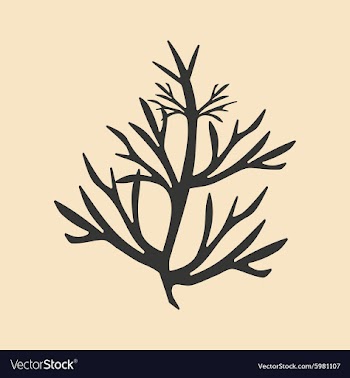 Flat in black and white mobile application vector image