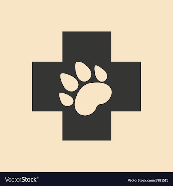 Flat in black and white mobile application vector image