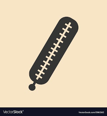 Flat in black and white mobile application vector image