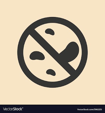 Flat in black and white mobile application vector image