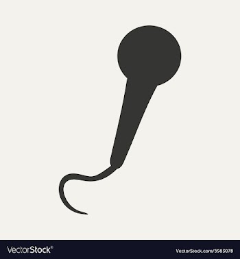 Flat in black and white mobile application vector image