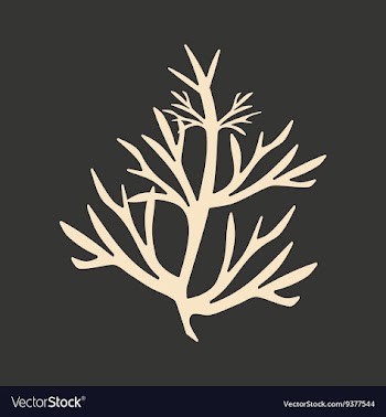 Flat in black and white mobile application vector image