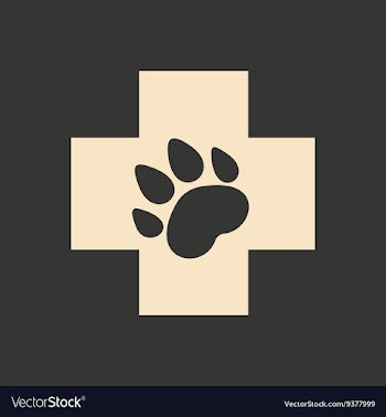 Flat in black and white mobile application vector image