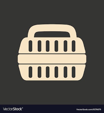Flat in black and white mobile application vector image