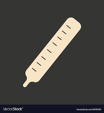 Flat in black and white mobile application vector image