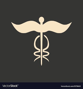 Flat in black and white mobile application vector image