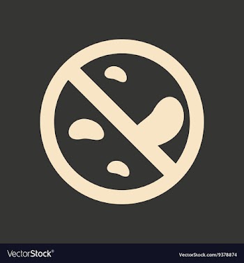 Flat in black and white mobile application vector image