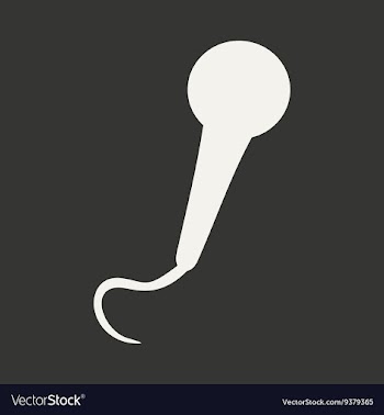 Flat in black and white mobile application vector image