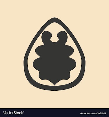 Flat in black and white mobile application walnut vector image