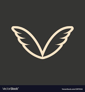 Flat in black and white mobile application wings vector image