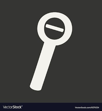 Flat in black and white mobile application zoom vector image
