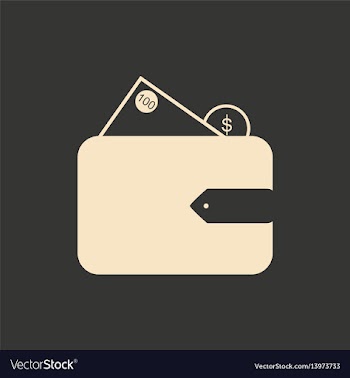 Flat in black and white purse with money vector image