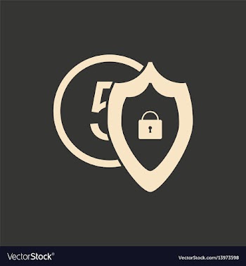 Flat in black and white shield and coins vector image