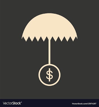 Flat in black white umbrella and dollar vector image