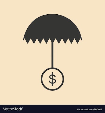 Flat in black white umbrella and dollar vector image