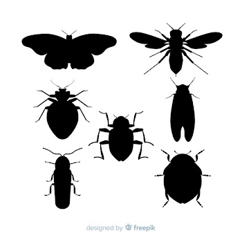 Flat insect silhouette collection