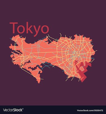 Flat japan tokyo - top view map showing streets vector image