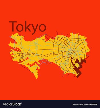 Flat japan tokyo - top view map showing streets vector image
