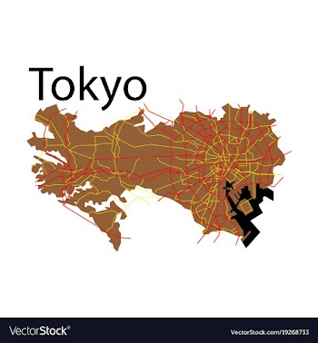Flat japan tokyo - top view map showing streets vector image