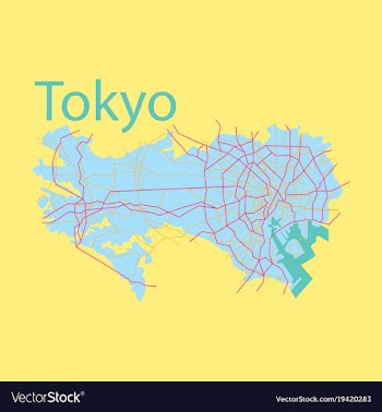 Flat japan tokyo - top view map showing streets vector image