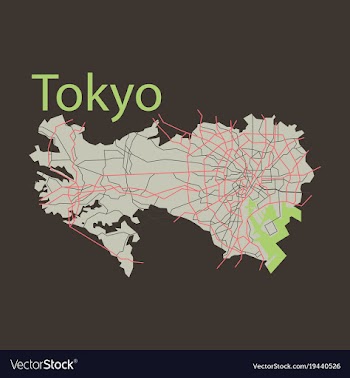 Flat japan tokyo - top view map showing streets vector image