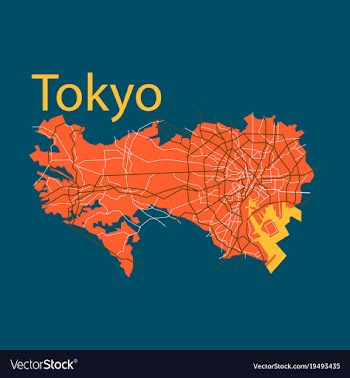 Flat japan tokyo - top view map showing streets vector image