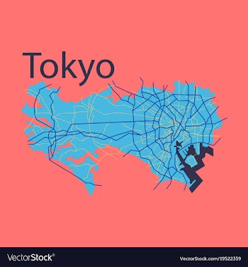 Flat japan tokyo - top view map showing streets vector image