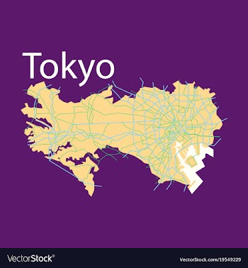 Flat japan tokyo - top view map showing streets vector image