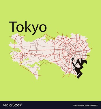 Flat japan tokyo - top view map showing streets vector image